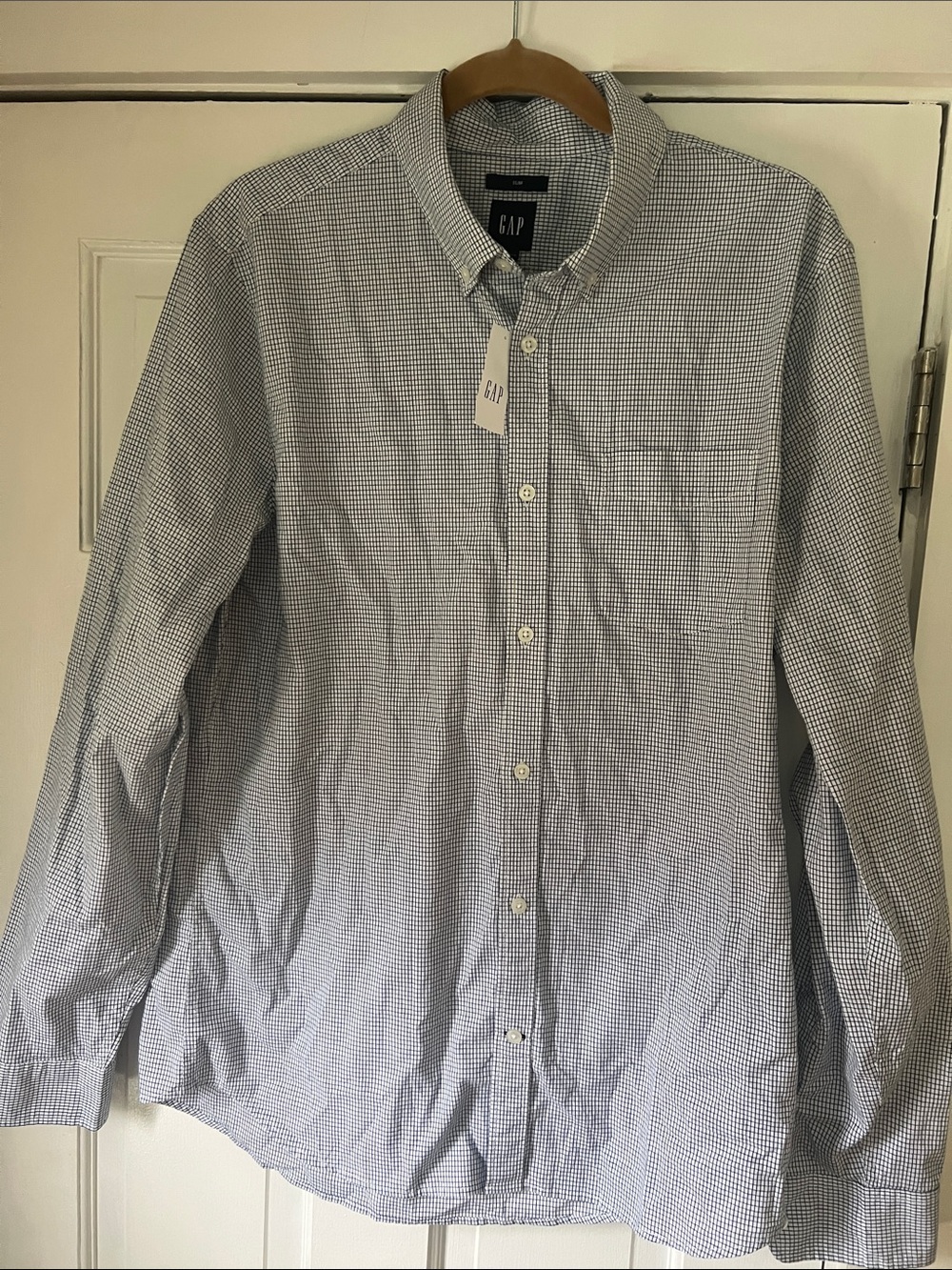 GAP Men's Micro Gingham Shirt in Blue and White